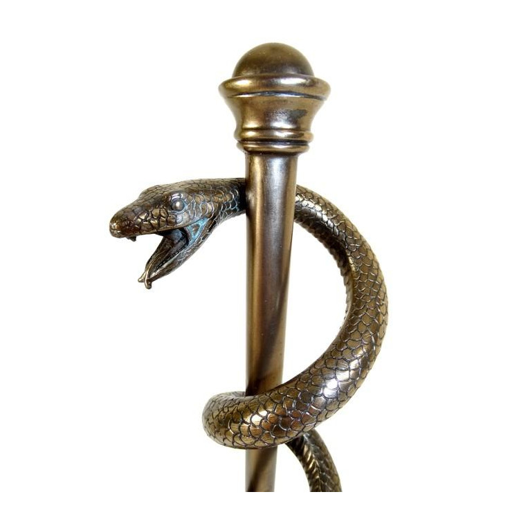 Asklepiova palica - symbol zdravotníctva - darček pre lekára, výška 30 cm - MC-9634